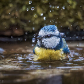 �������� ������!